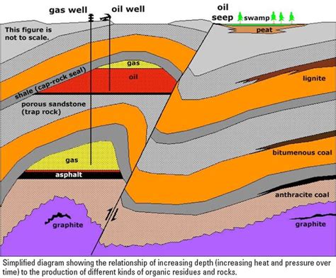 Petroleum Geology | Geology, Geophysics, Petroleum engineering