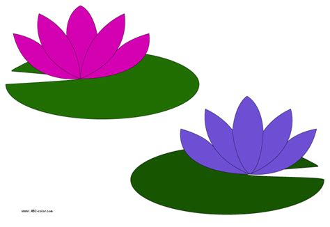 Water Lily Outline - ClipArt Best