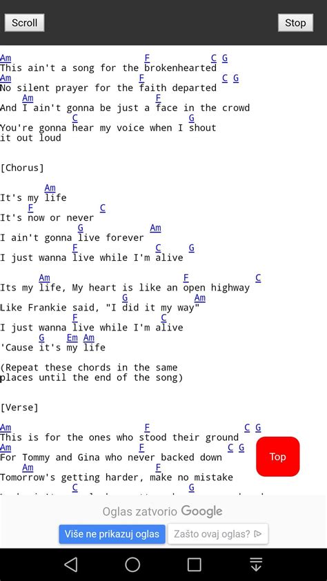 Bon Jovi It's My Life Lyrics - Lina Pdf