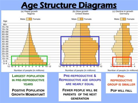 Age Structure Diagram Definition