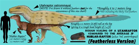 JP SIZE CHART: UTAHRAPTOR SIZE CHART (FEATHERLESS) by Taliesaurus on ...