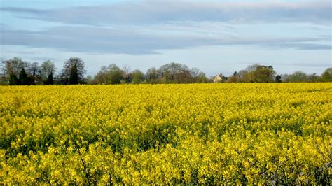 Adullamite: Spring Crops