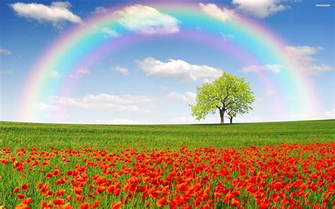 Rainbow Landscape Wallpapers - Top Free Rainbow Landscape Backgrounds ...