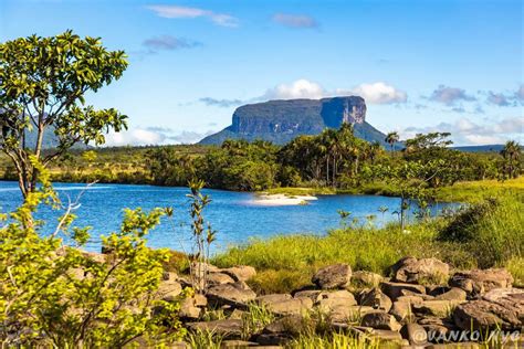 Espectacular tour a Salto Angel Parque Nacional Canaima Venezuela 2023