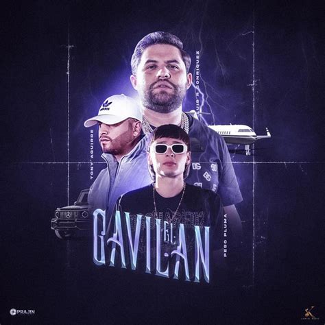 El Gavilán - Single by Luis R Conriquez | Spotify