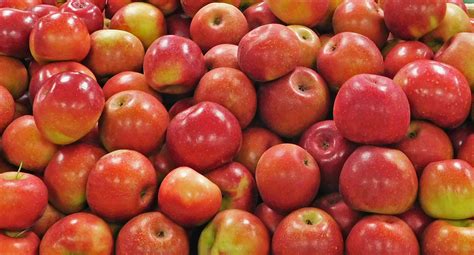 Rome Apples | Trax Farms