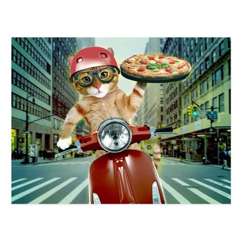 pizza cat - cat - pizza postcard | Zazzle.com | Pizza cat, Postcard ...