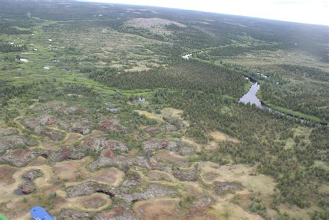 What the world needs now to fight climate change: More swamps