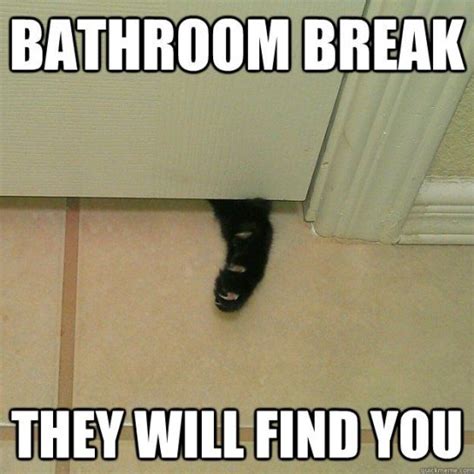 50+ Funny Bathroom Memes That Are Awkwardly True