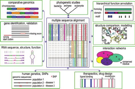 Examples of molecular biology applications (shown in green boxes) that ...