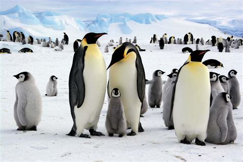 Antarctica | History, Map, Climate, & Facts | Britannica