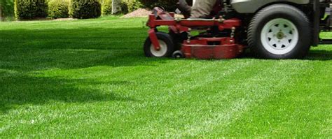 Guide On How To Turf Lawn - Home Inside