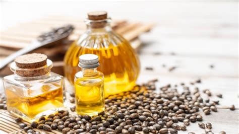 Castor oil side effects: इन समस्याओं में न करें अरंडी के तेल का यूज ...