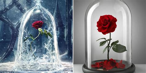 You can now buy the Beauty and the Beast enchanted rose – but you may ...