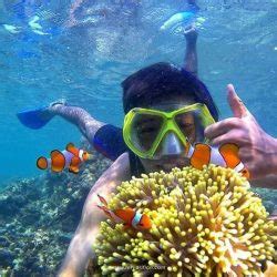 Blue Lagoon Snorkeling Adventure