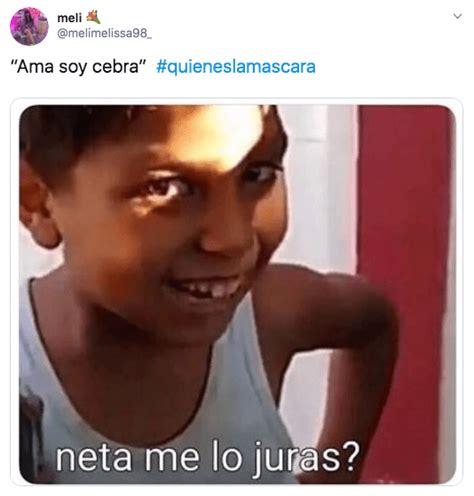 26 memes que nos dejó la gran final de '¿Quién es la máscara?' - Erizos