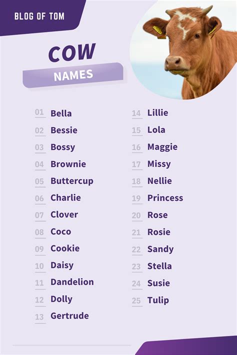 Looking for a name for your new cow? Check out this list of cute and ...