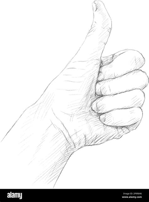 Hand with Thumb up Grey pencil sketch on white background Vector ...