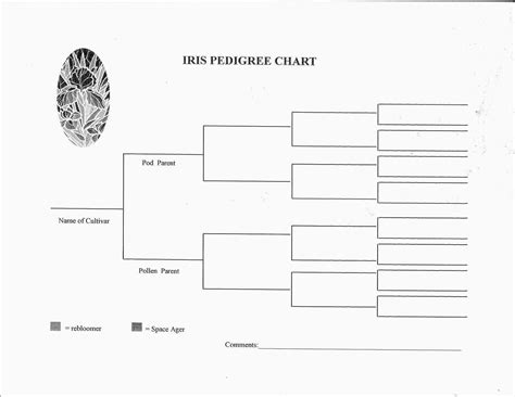 Free printable blank dog pedigree chart - jesinvest