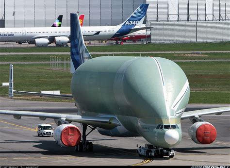 Airbus A330-743L Beluga XL - Untitled (Airbus Transport International ...