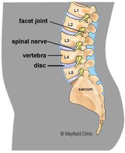 Lower Back Injuries | Common Injuries | Physio Mechanics