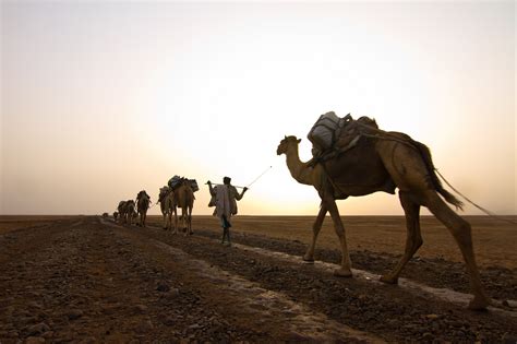 Photo Essay: Daring To Explore The Danakil Desert | AFKTravel