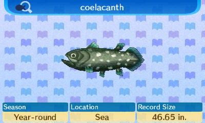 Coelacanth - Animal Crossing: New Leaf for 3DS Wiki Guide - IGN