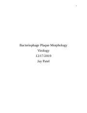 Bacteriophage Plaque Morphology: A Comprehensive Study on Halo | Course ...