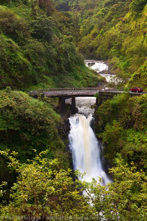 the Hana Highway, Maui, Hawaii. | Photos by Ron Niebrugge