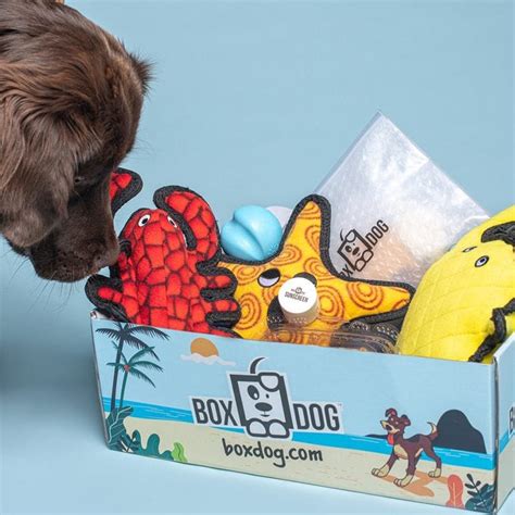 8 Best Dog Subscription Boxes — Pet Subscription Boxes | Trusted Since 1922