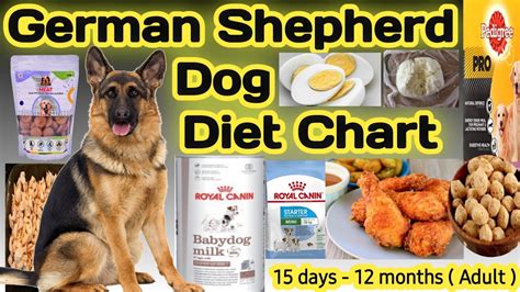 Are German Shepherd Treats Healthy