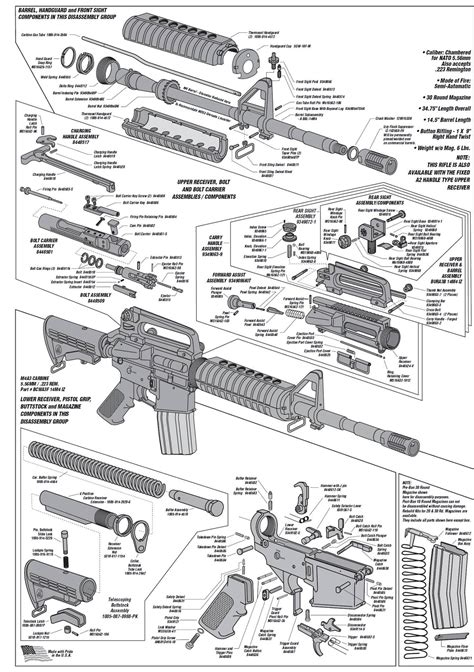 Ar-15 Diagrama Brillante Cartel Imagen Foto Shoot Armas Rifles | Etsy