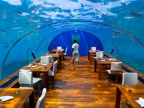 Indulge in Luxurious Ithaa Underwater Restaurant in Maldives | The ...