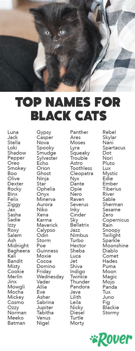 165 Top Black Cat Names for 2019 by Popularity | Names for black cats ...