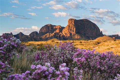 A beginner’s guide to visiting Big Bend National Park: Everything you ...