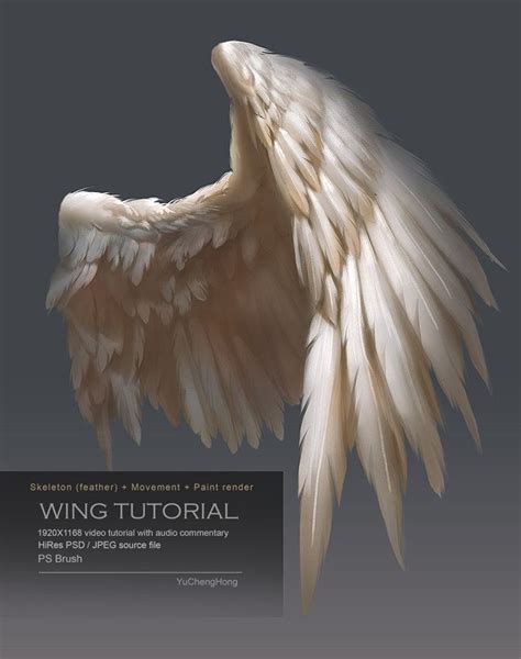 For people who may interested how to draw and paint bird wings , if you ...