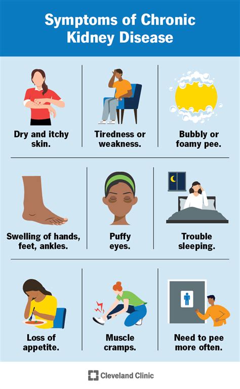 Chronic Kidney Disease (CKD): Symptoms & Treatment