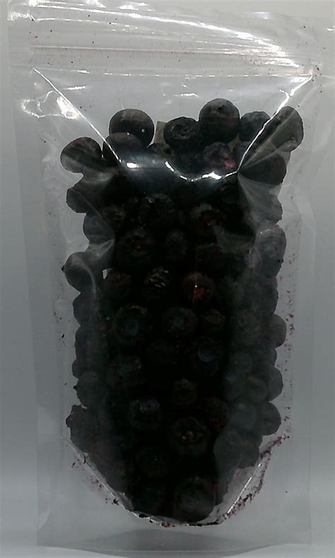 Freeze Dried Blueberries ~1.3oz – Victory Pieces