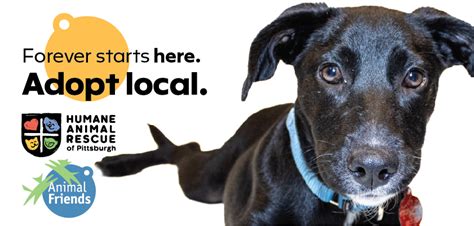 Pittsburgh Area Animal Welfare Organizations Announce "Adopt Local ...