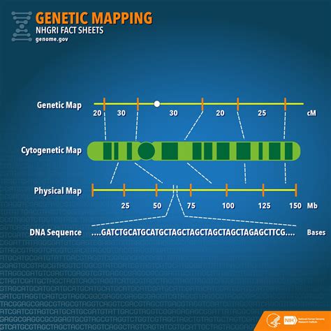 What Are Gene Maps And How Are They Produced - quotes about love for him