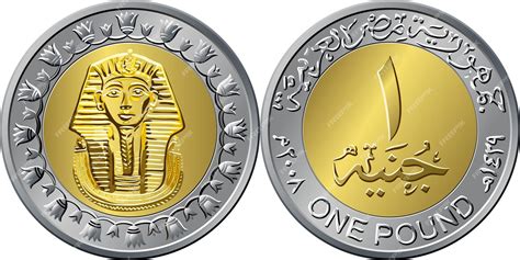 Premium Vector | Mone of Egypt, gold coin of 1 pound, reverse with ...