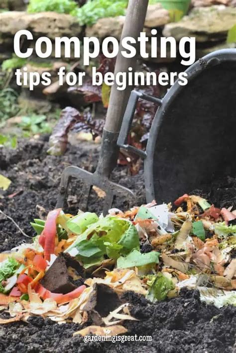 5 Composting Tips for Beginners | Gardening is Great