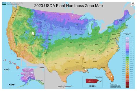 Gardening Zones Map 2024 - Kara Merissa