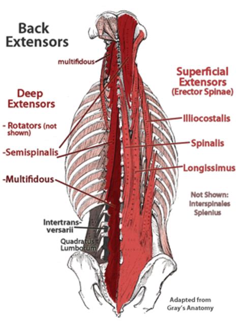 What Do You Know About Back Pain?