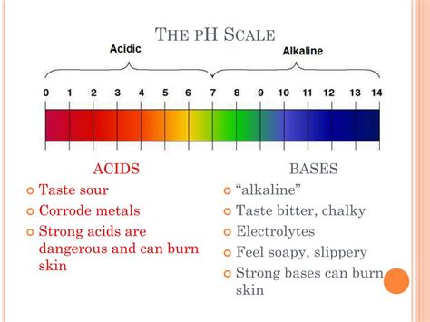 PPT - Acids, Bases, and pH Scales PowerPoint Presentation, free ...