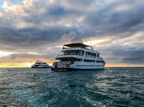 Galapagos Luxury Cruise on the Sea Star Journey