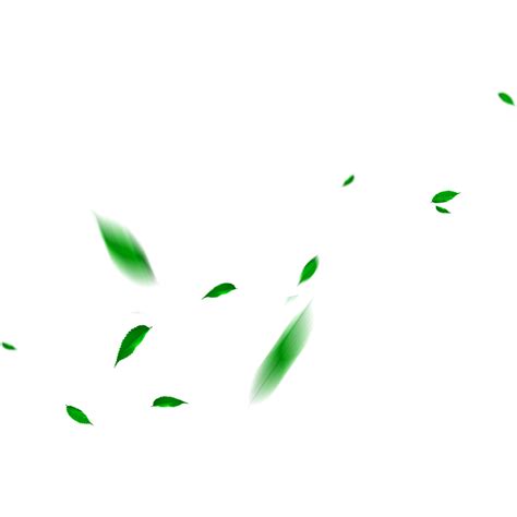 Leaf Falling Green Leaves Maple Free Photo PNG Transparent HQ PNG ...