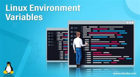 Linux Environment Variables | How to Implement Environment Variables