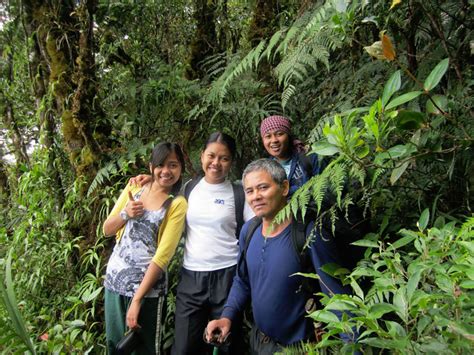 The Philippines' Mindanao is a treasure trove of reptile and amphibian ...