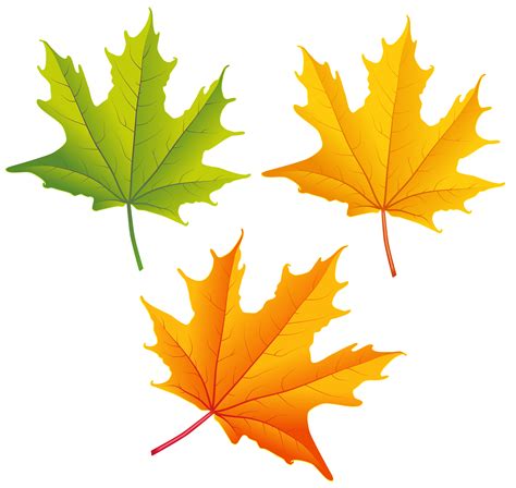 Free Fall Leaves Clip Art, Download Free Fall Leaves Clip Art png ...